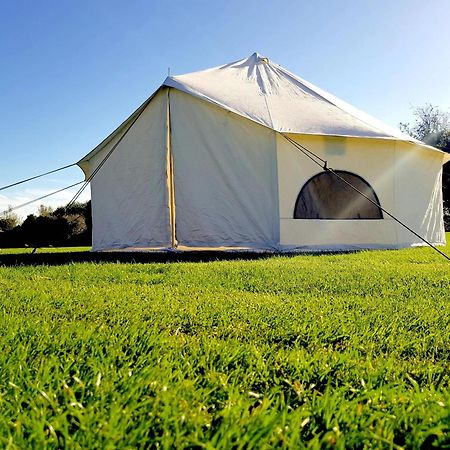 6M Xl Bell Tent With Log Burner Near Whitby Villa Liverton Exterior photo