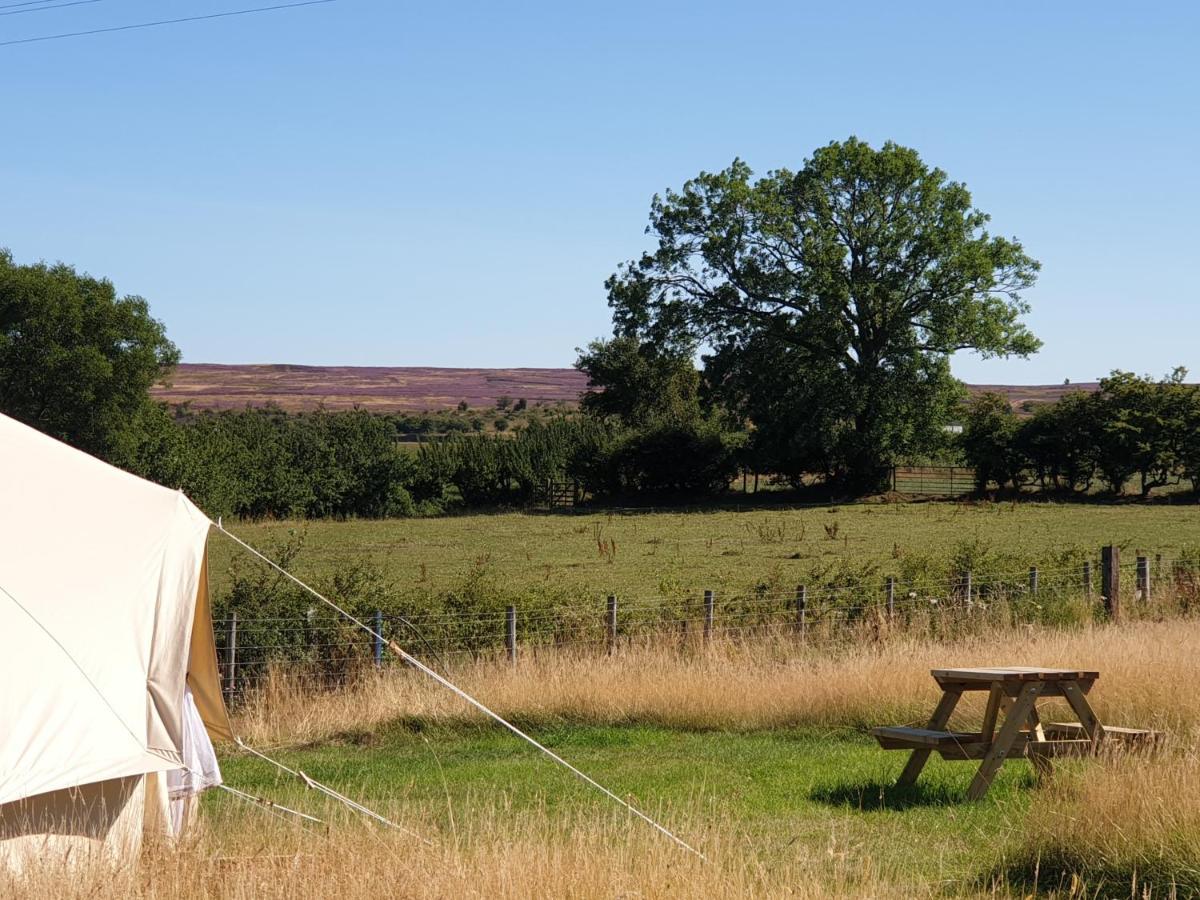 6M Xl Bell Tent With Log Burner Near Whitby Villa Liverton Exterior photo